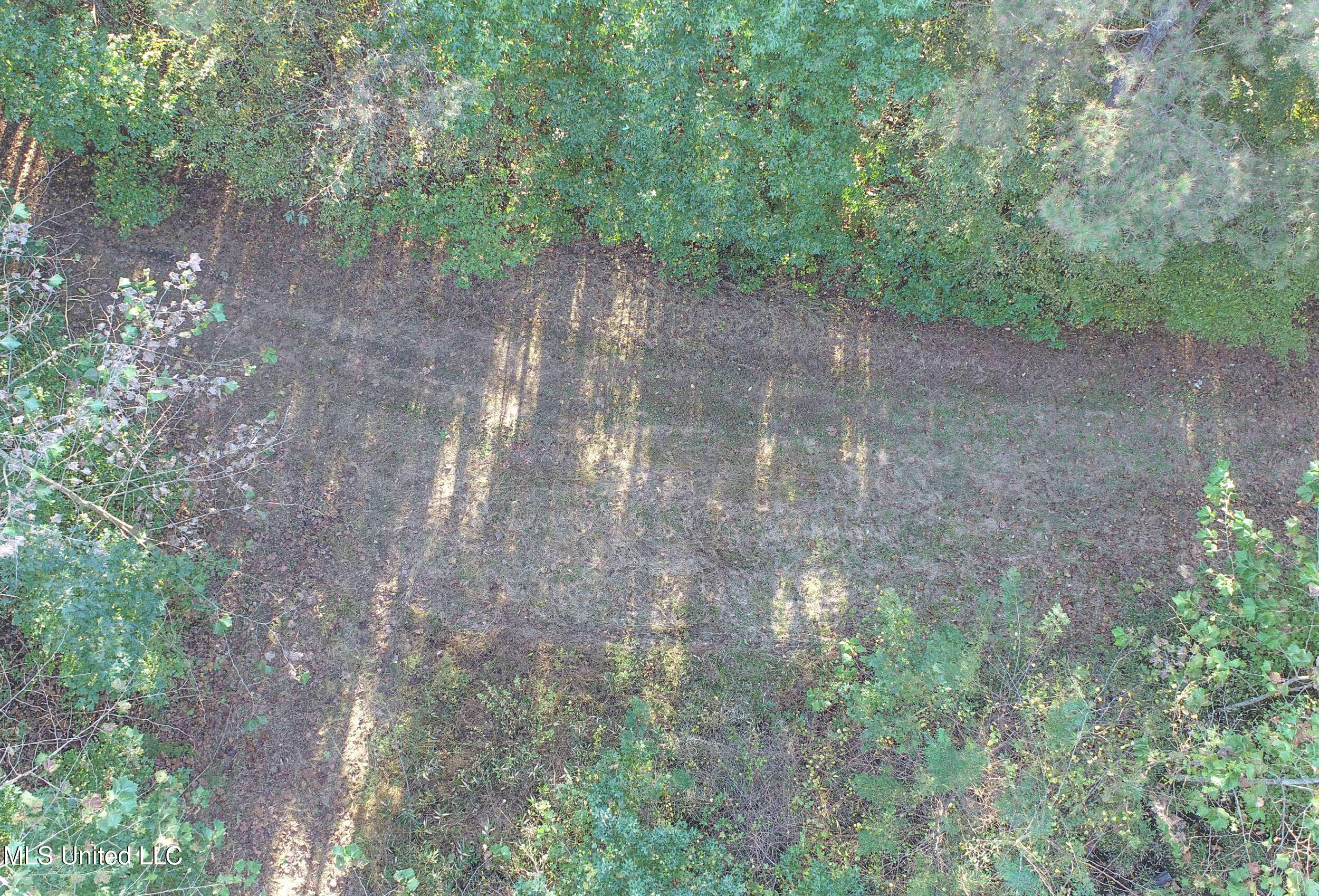 Chapel Town Road Courtland, MS 38620 - Photo 24 of 28 12.2CTRd23