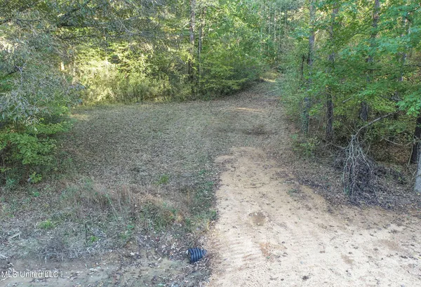 $96,000 | Chapel Town Road, Courtland, MS 38620