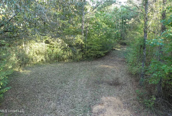 $96,000 | Chapel Town Road, Courtland, MS 38620