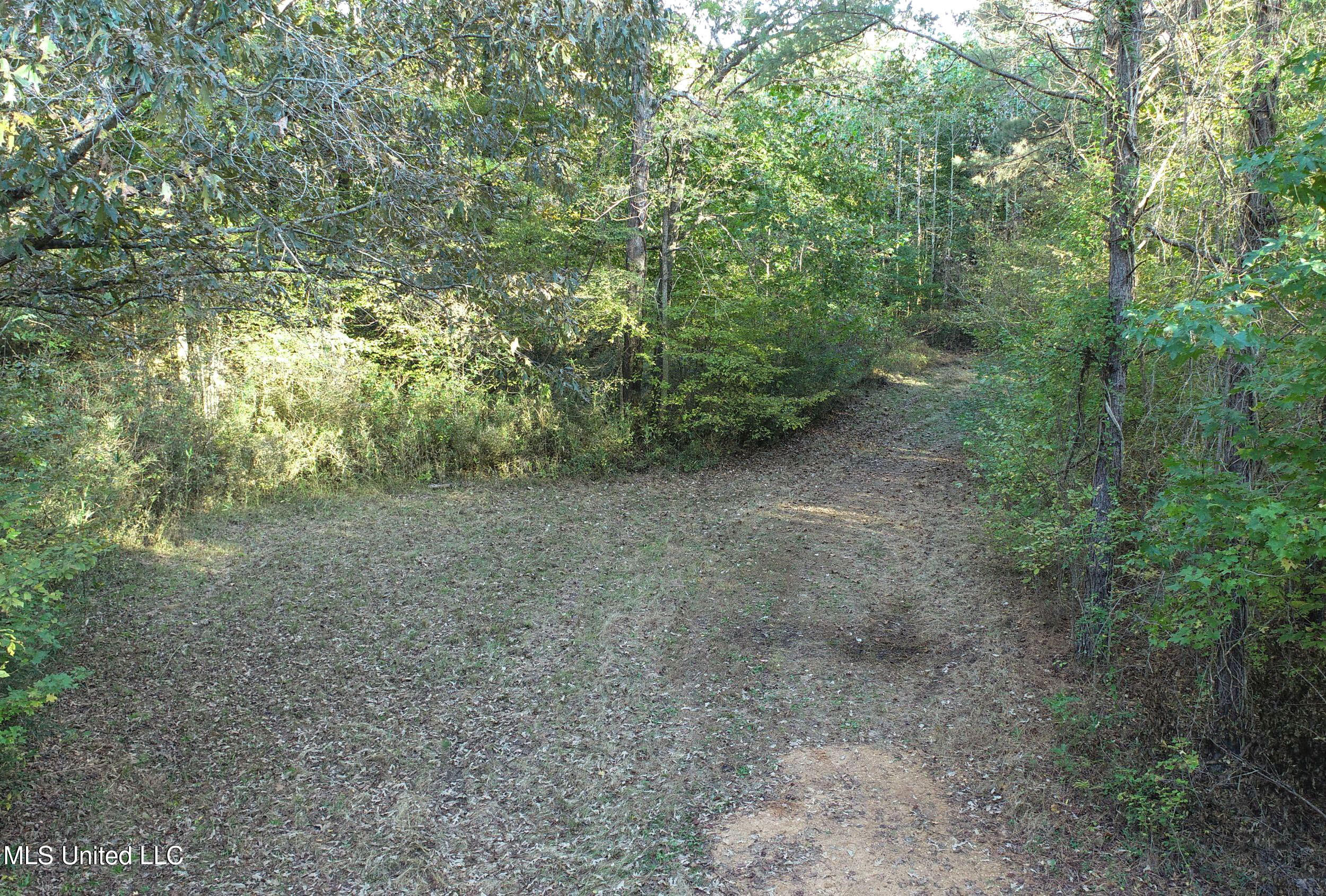 Chapel Town Road Courtland, MS 38620 - Photo 26 of 28 12.2CTRd25