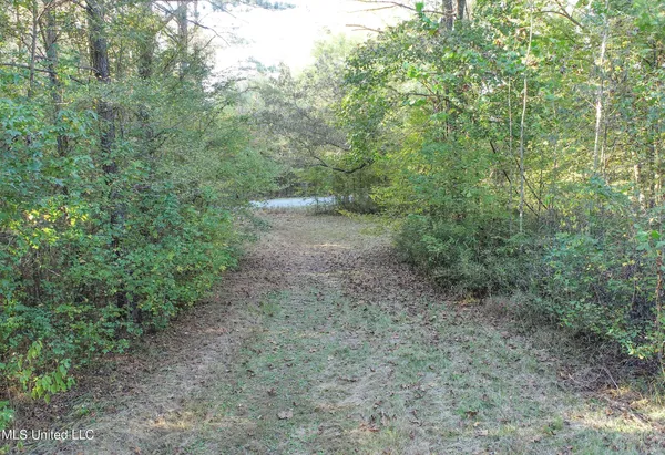 $96,000 | Chapel Town Road, Courtland, MS 38620