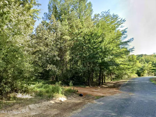 $96,000 | Chapel Town Road, Courtland, MS 38620