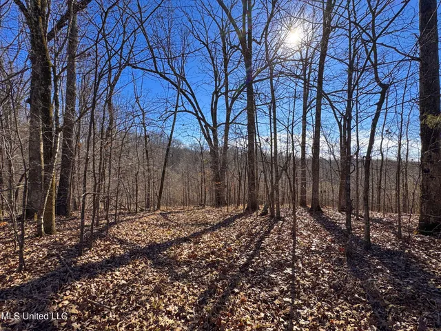 $96,000 | Chapel Town Road, Courtland, MS 38620