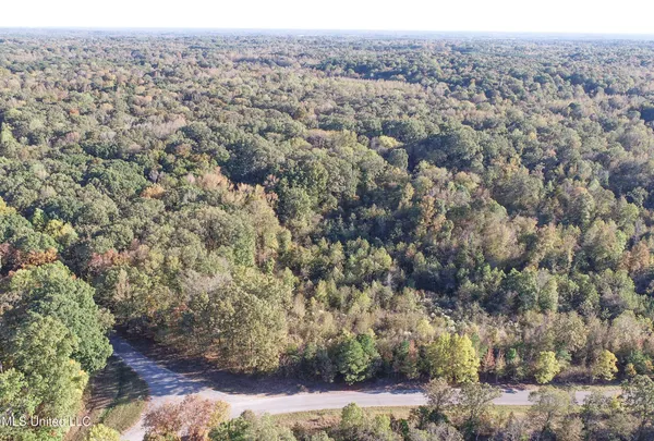 $96,000 | Chapel Town Road, Courtland, MS 38620