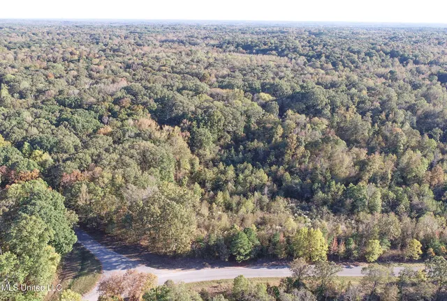 $96,000 | Chapel Town Road, Courtland, MS 38620