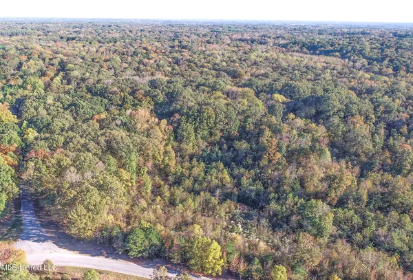 $96,000 | Chapel Town Road, Courtland, MS 38620