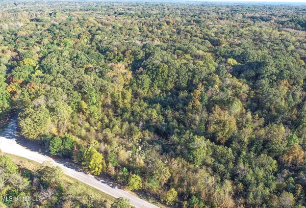 $96,000 | Chapel Town Road, Courtland, MS 38620