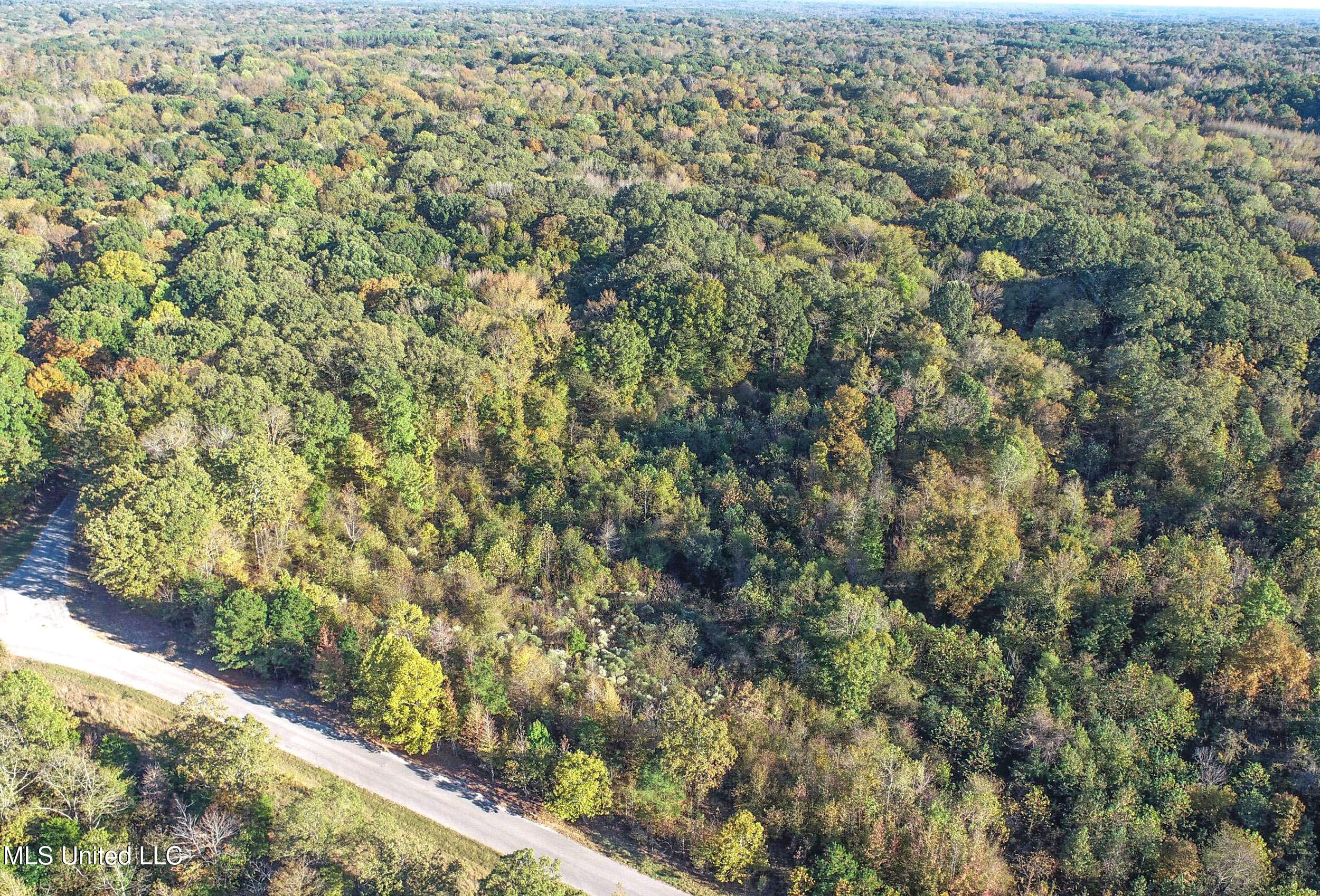 Chapel Town Road Courtland, MS 38620 - Photo 8 of 28 12.2CTRd4