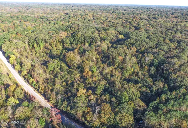 $96,000 | Chapel Town Road, Courtland, MS 38620