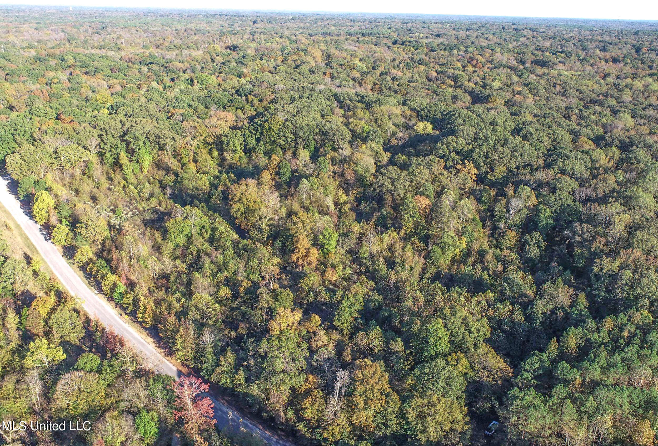 Chapel Town Road Courtland, MS 38620 - Photo 9 of 28 12.2CTRd6