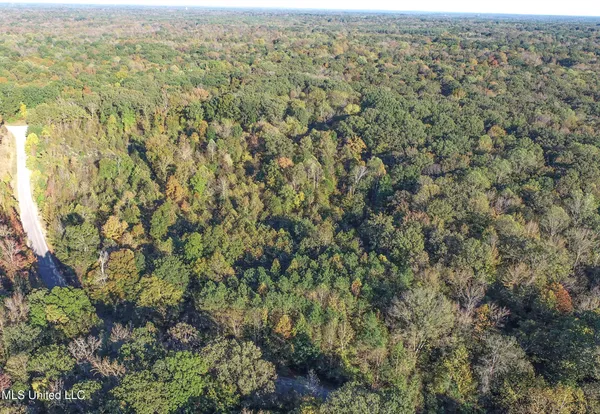 $96,000 | Chapel Town Road, Courtland, MS 38620