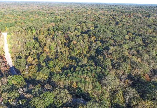 $96,000 | Chapel Town Road, Courtland, MS 38620