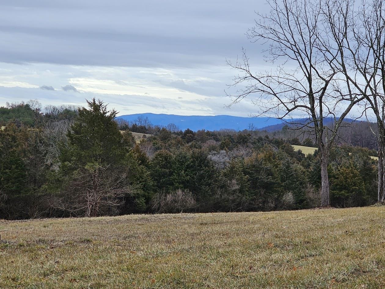 Lot 5 Berry Farm Road Verona, VA 24482 - Photo 11 of 23 a view of an outdoor space and mountain view