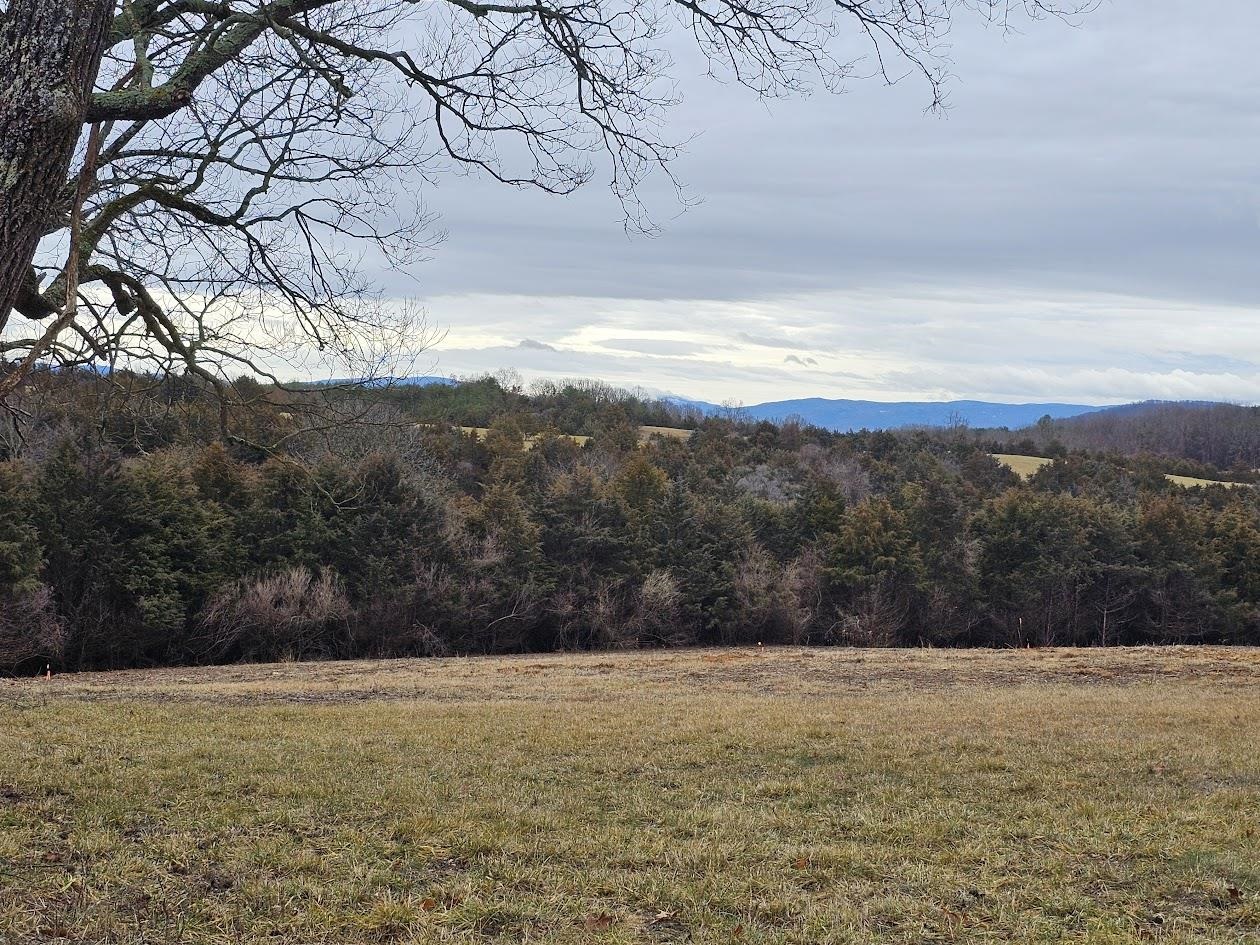 Lot 5 Berry Farm Road Verona, VA 24482 - Photo 12 of 23 a view of lake view and mountain