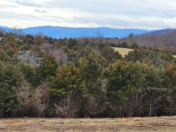 a view of a city with lush green forest