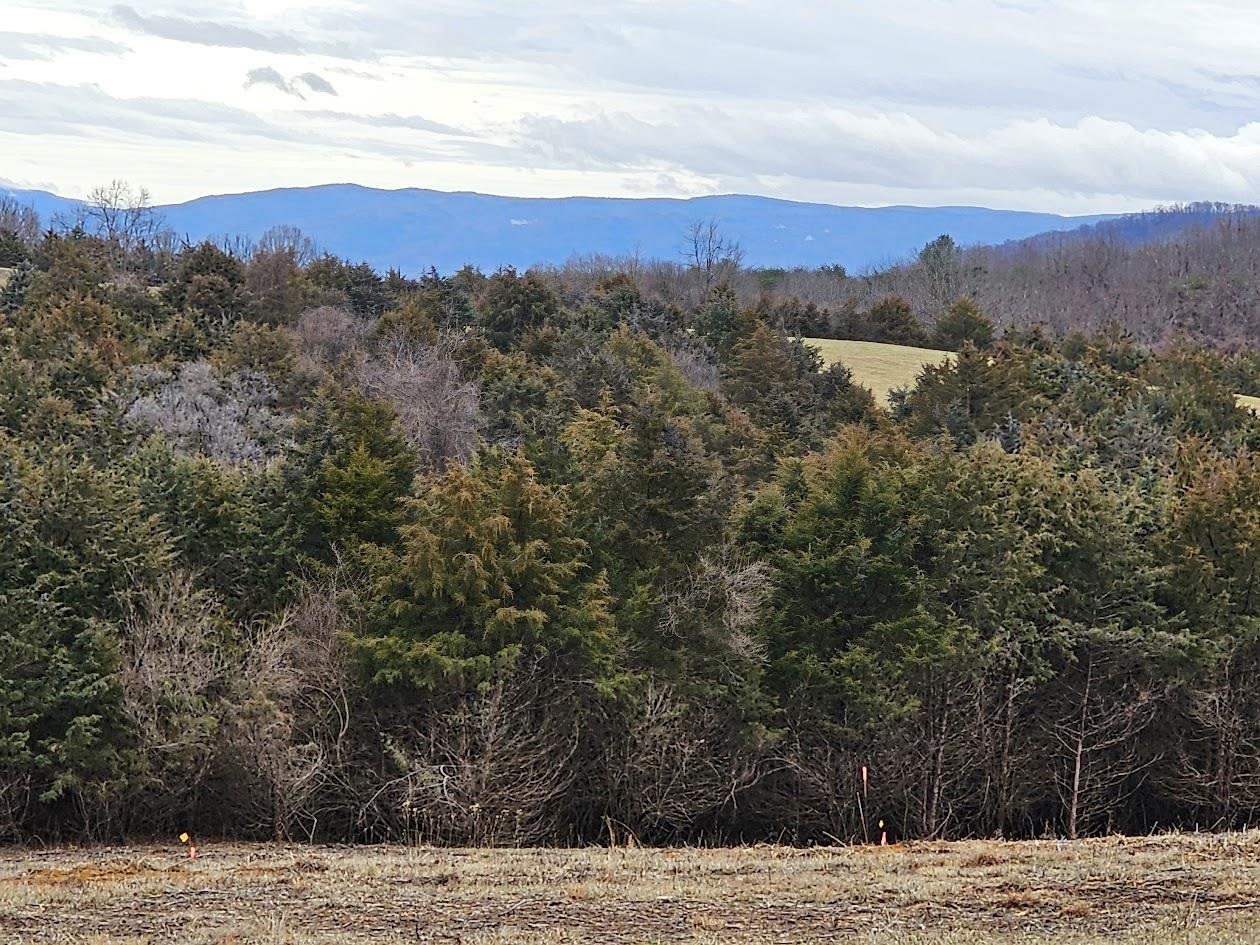 Lot 5 Berry Farm Road Verona, VA 24482 - Photo 13 of 23 a view of mountain with sunset in background