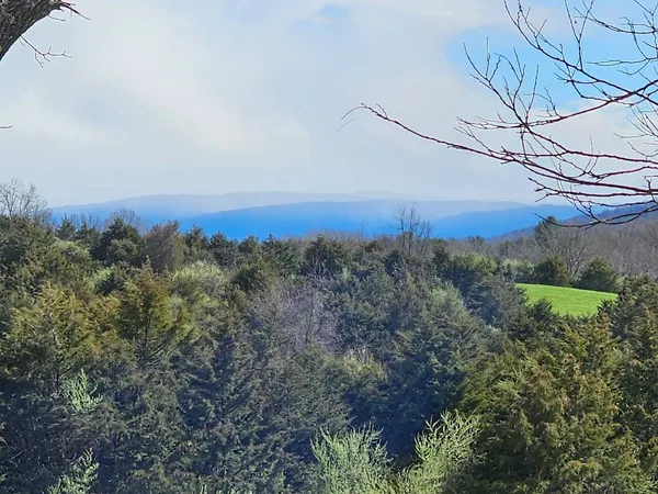 a view of a city with lush green forest