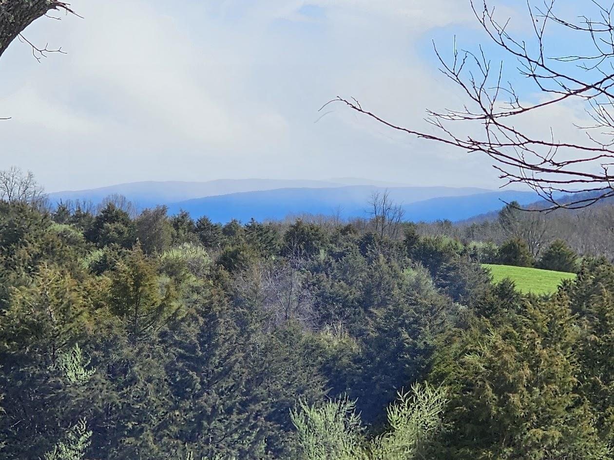 Lot 5 Berry Farm Road Verona, VA 24482 - Photo 14 of 23 a view of a city with lush green forest
