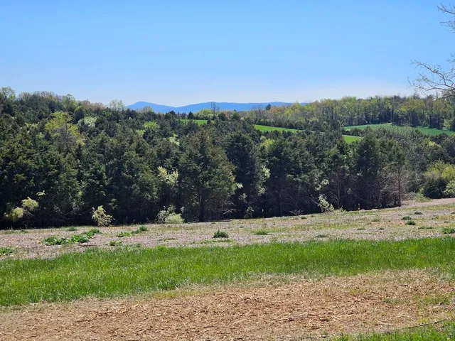 a view of a grassy field with trees in the background