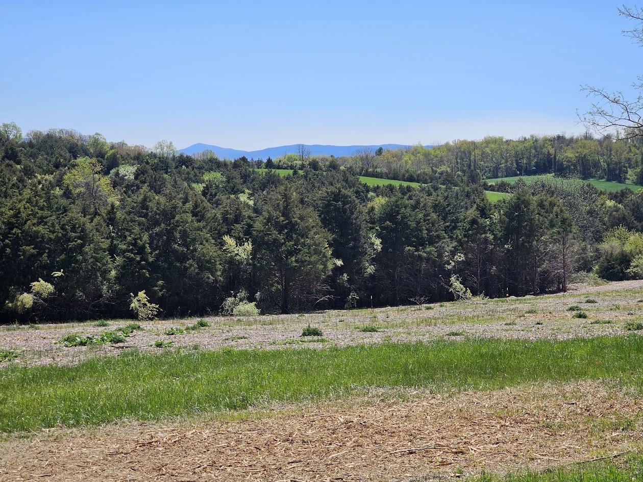 Lot 5 Berry Farm Road Verona, VA 24482 - Photo 17 of 23 a view of a yard