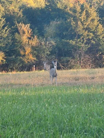 a view of an mountain