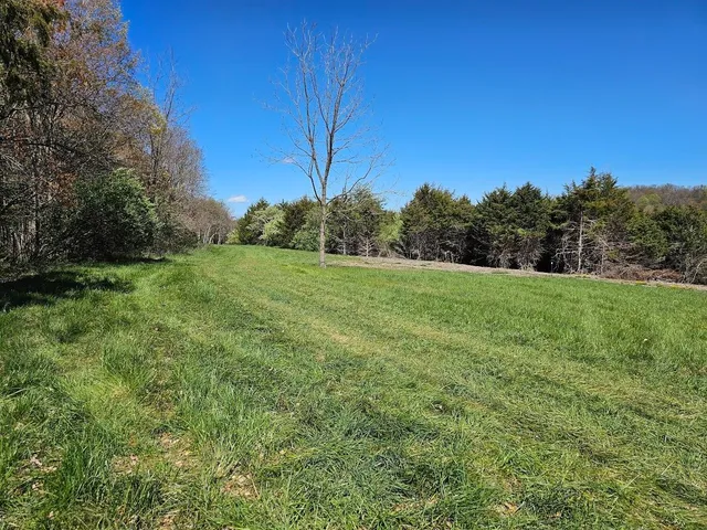 a view of a grassy field with trees in the background