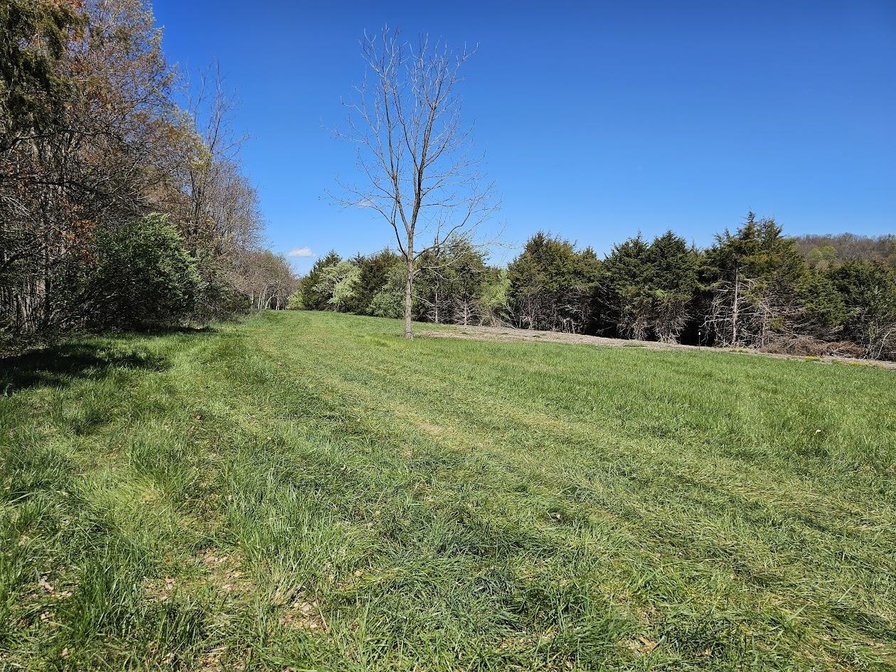 Lot 5 Berry Farm Road Verona, VA 24482 - Photo 2 of 23 a view of a grassy field with trees in the background