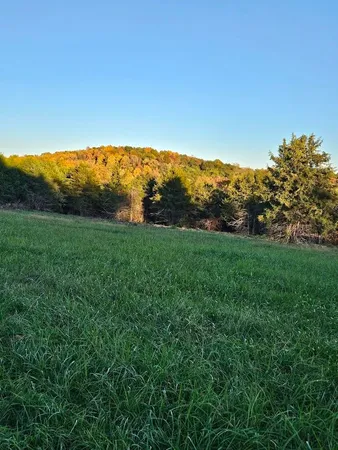 an aerial view of mountain with trees in the background