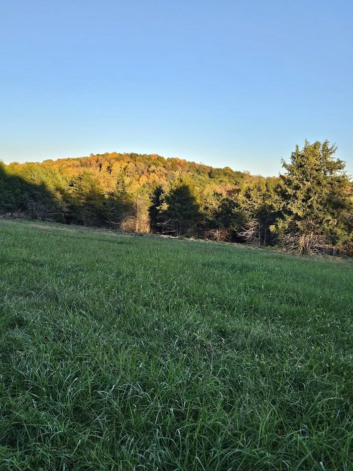 Lot 5 Berry Farm Road Verona, VA 24482 - Photo 21 of 23 a view of an mountain