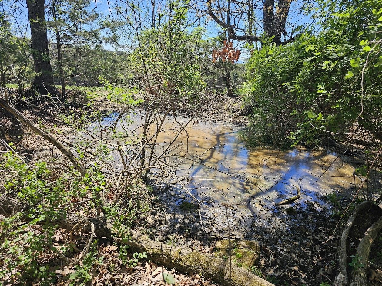 Lot 5 Berry Farm Road Verona, VA 24482 - Photo 4 of 23 a backyard of a house with lots of green space
