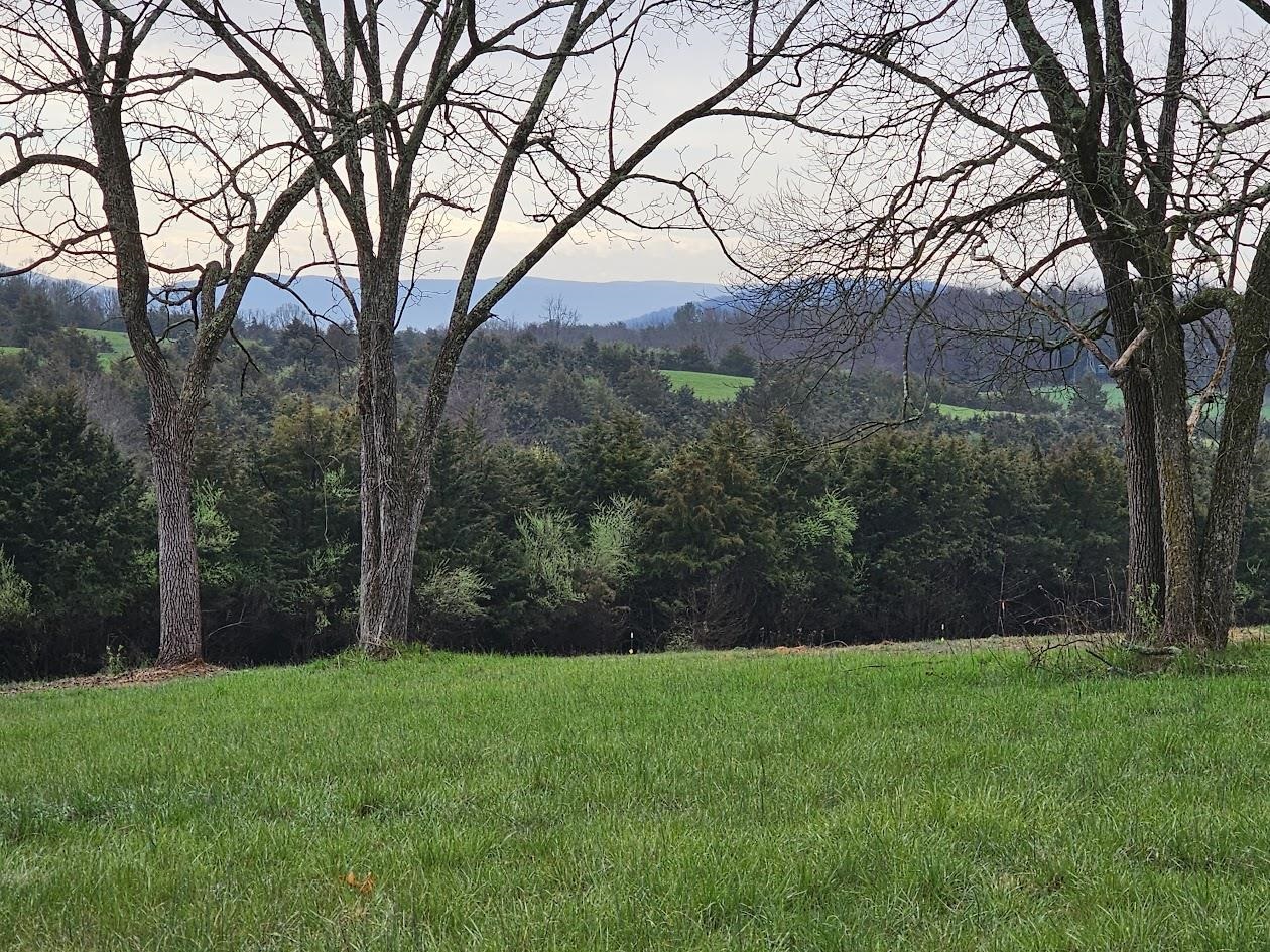 Lot 5 Berry Farm Road Verona, VA 24482 - Photo 7 of 23 a view of green field with trees in the background