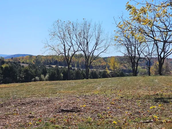 a view of a tree in a field
