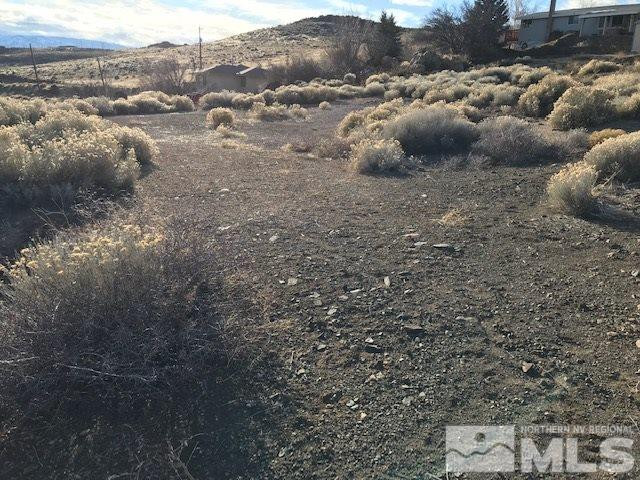 Hoge Road Reno, NV 89506 - Photo 1 of 4 Photo 1
