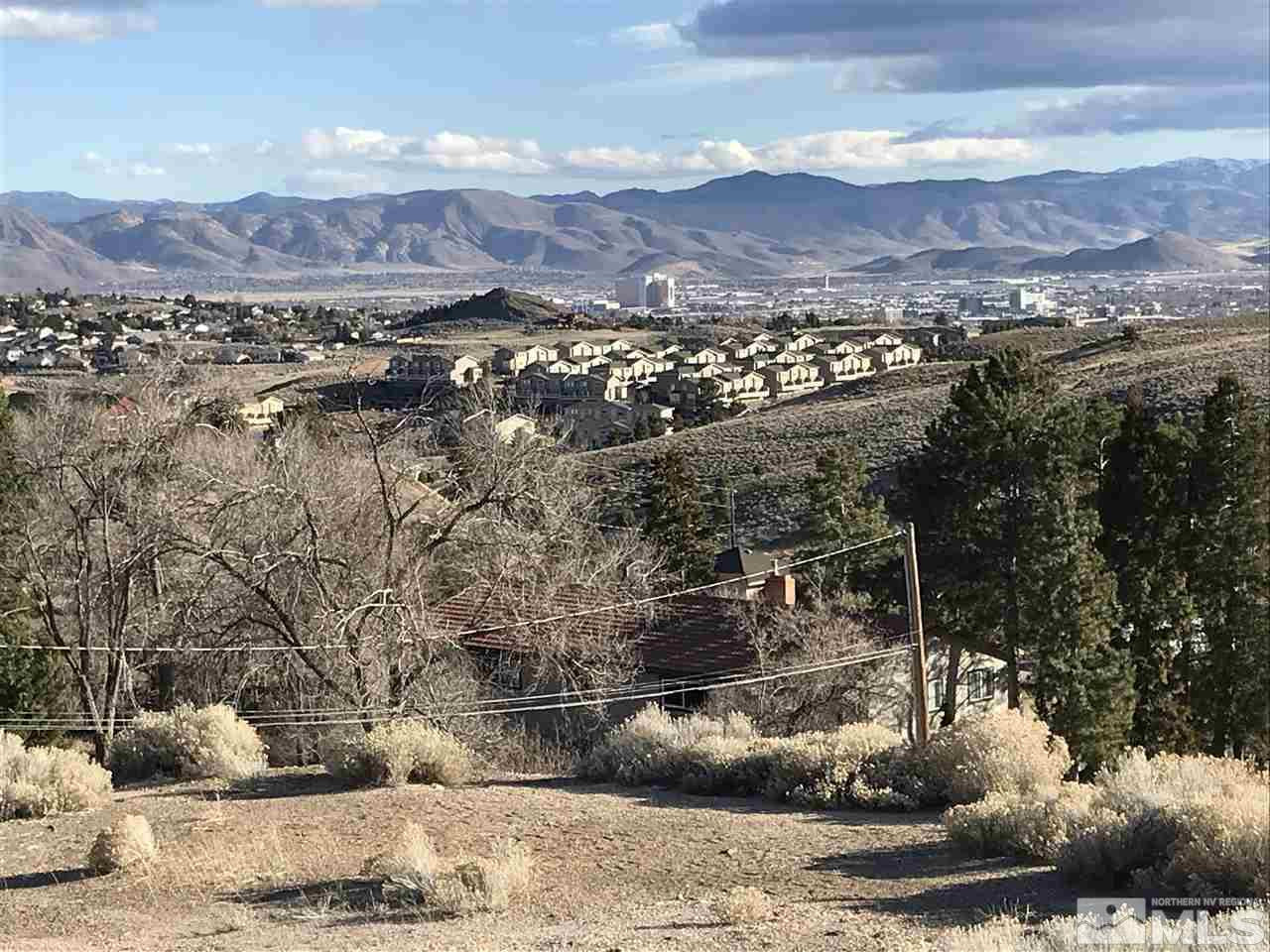 Hoge Road Reno, NV 89506 - Photo 3 of 4 Photo 3
