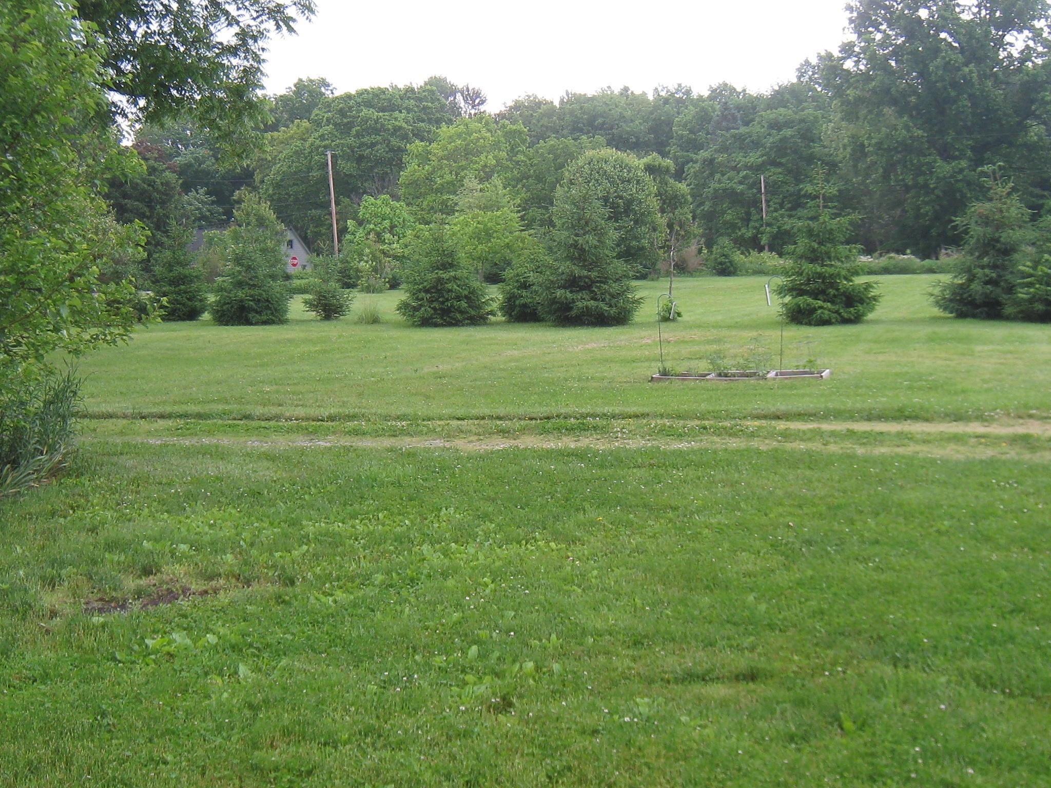 5636 Bowtown Road Delaware, OH 43015 - Photo 22 of 29