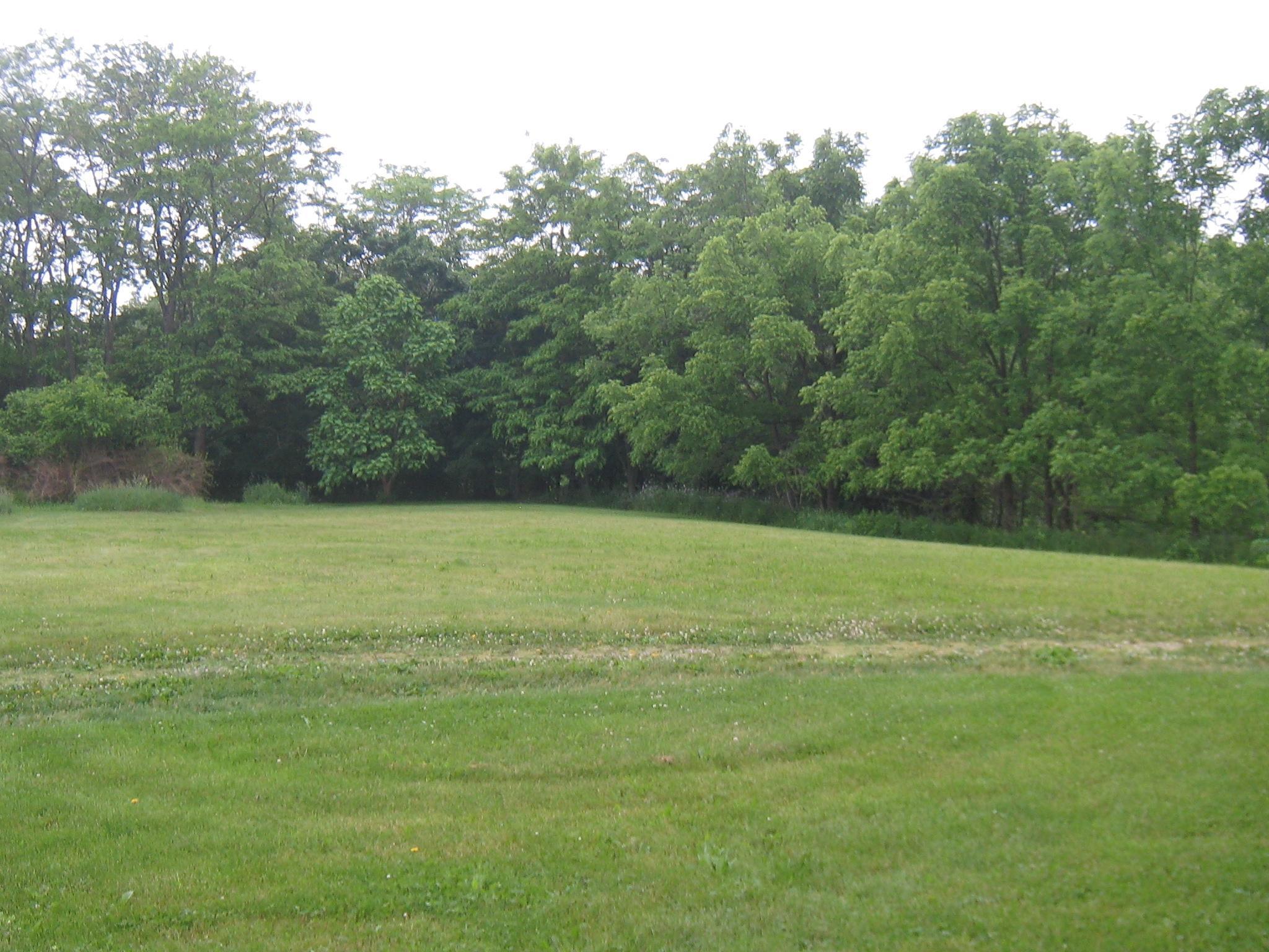 5636 Bowtown Road Delaware, OH 43015 - Photo 23 of 29