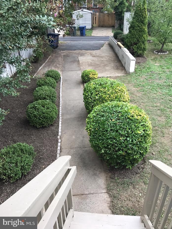 204 West Glebe Road Alexandria, VA 22305 - Photo 23 of 26 a view of a garden with plants
