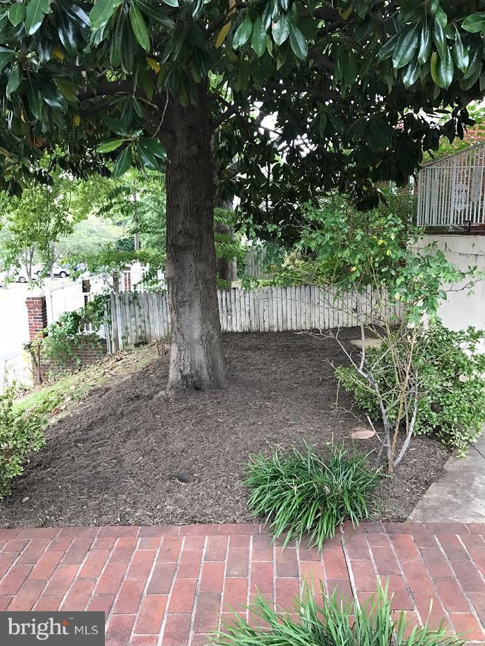 204 West Glebe Road Alexandria, VA 22305 - Photo 25 of 26 a backyard of a house with lots of green space
