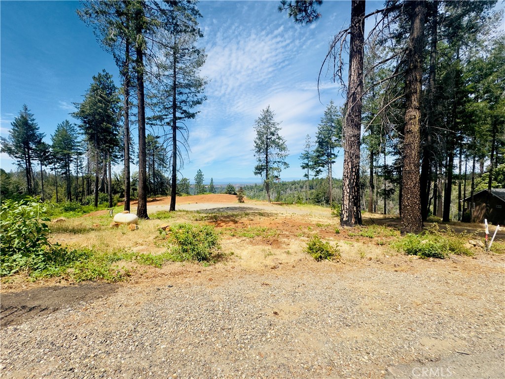 1400 Bader Mine Road Paradise, CA 95969 - Photo 8 of 16