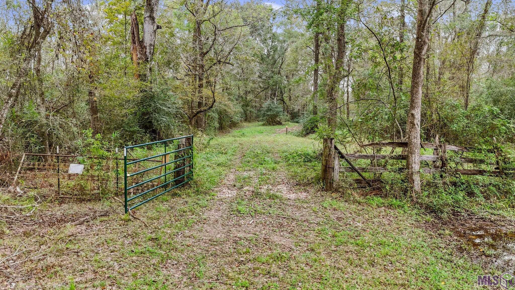 Tbd Zeb Chaney Road Zachary, LA 70791 - Photo 2 of 9 Gallery Image 2