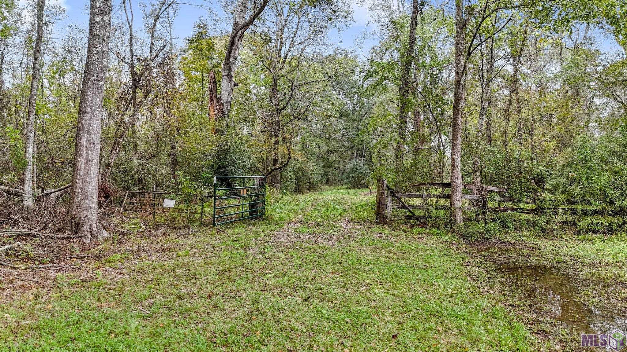 Tbd Zeb Chaney Road Zachary, LA 70791 - Photo 6 of 9 Gallery Image 6