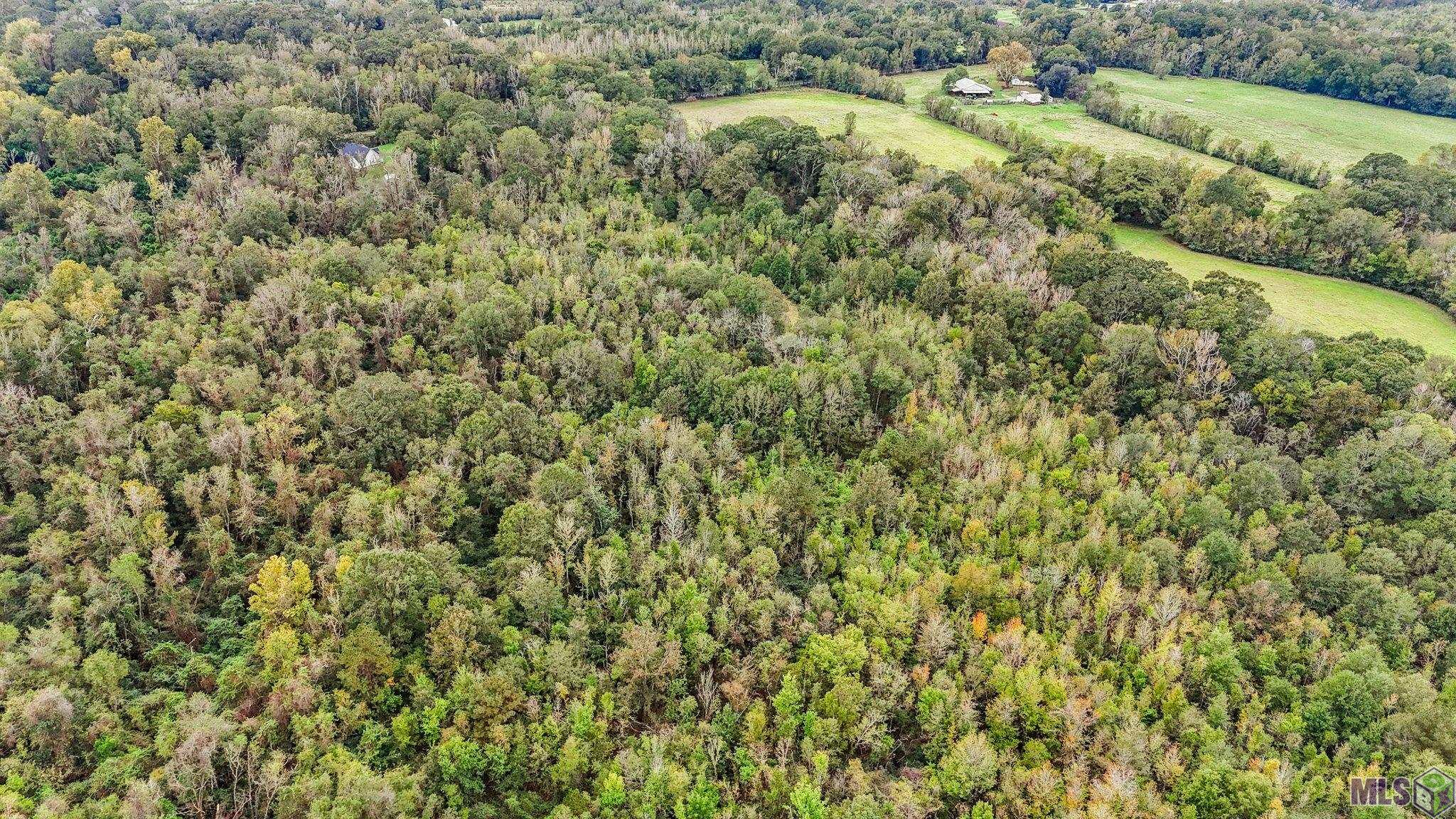Tbd Zeb Chaney Road Zachary, LA 70791 - Photo 7 of 9 Gallery Image 7