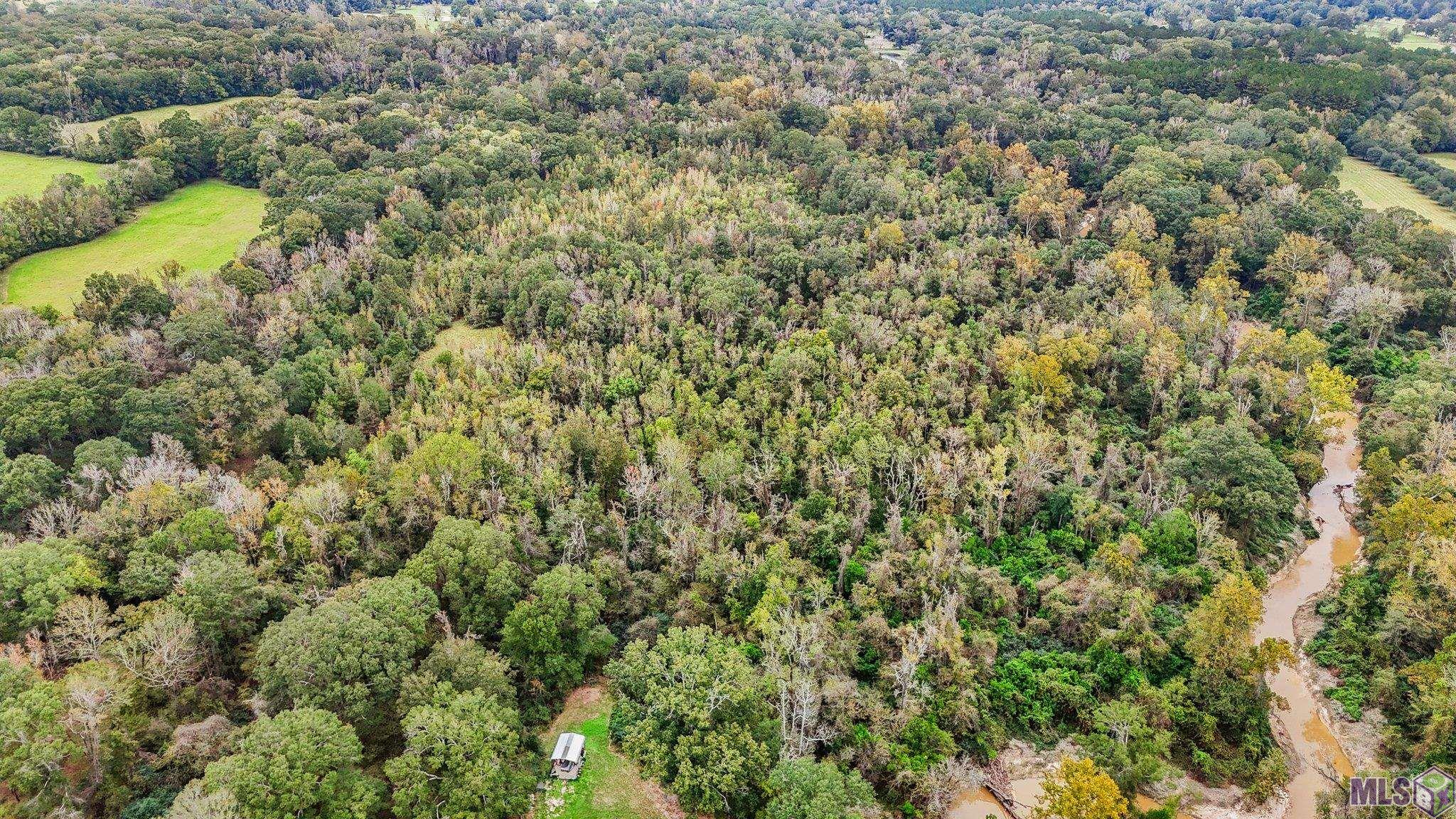 Tbd Zeb Chaney Road Zachary, LA 70791 - Photo 8 of 9 Gallery Image 8