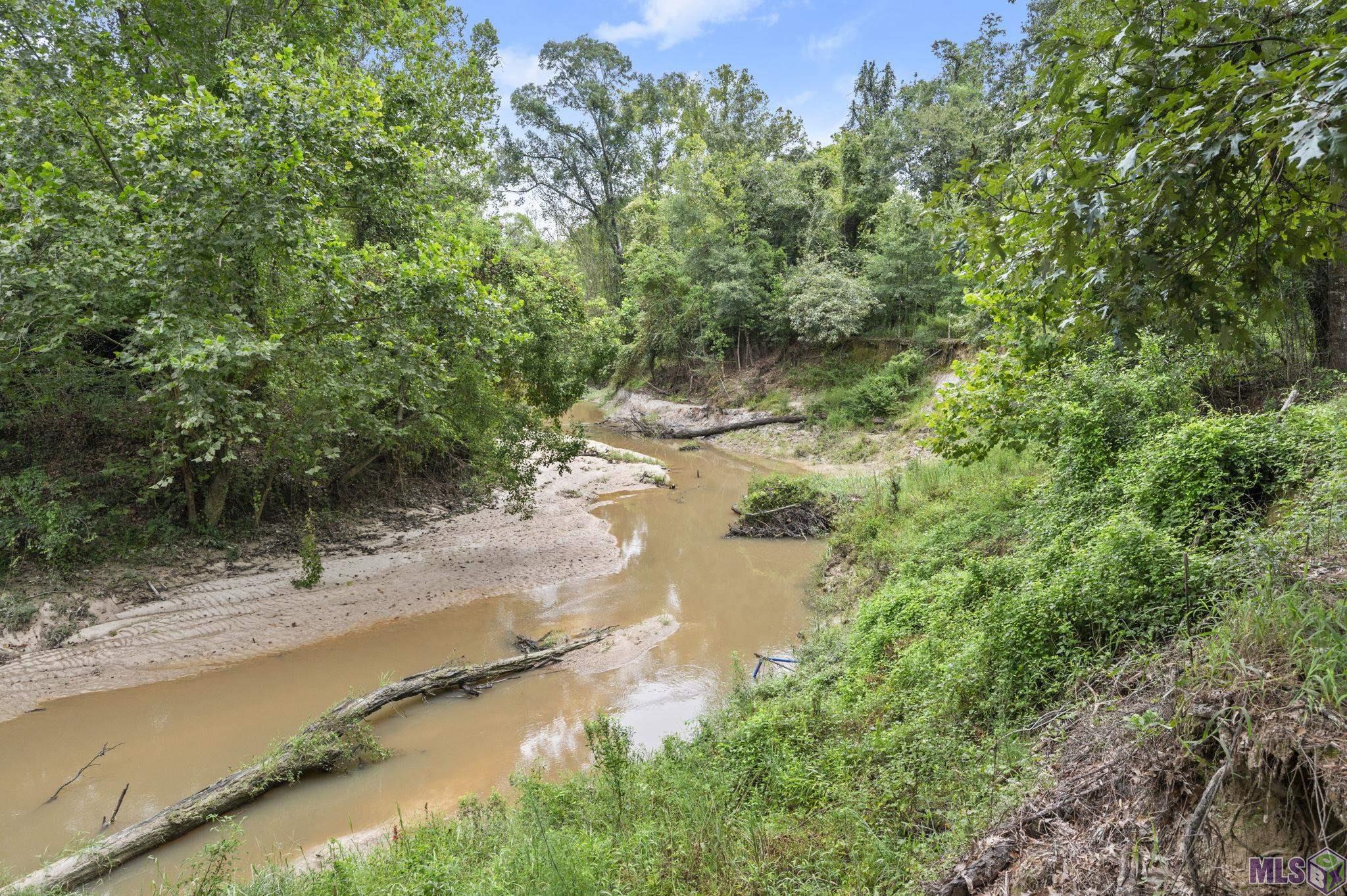 Tbd Zeb Chaney Road Zachary, LA 70791 - Photo 9 of 9 Gallery Image 9