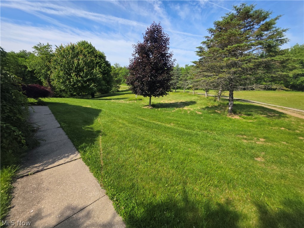 49222 Taylor Road Negley, OH 44441 - Photo 48 of 49