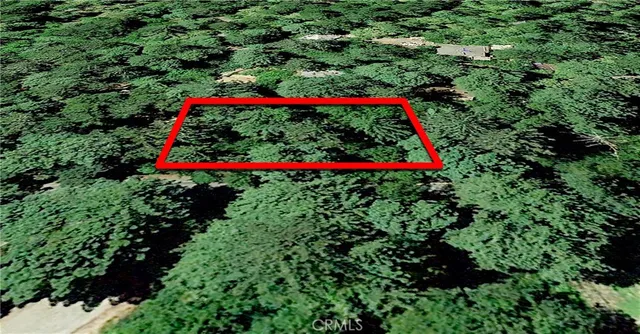 a view of a lush green field