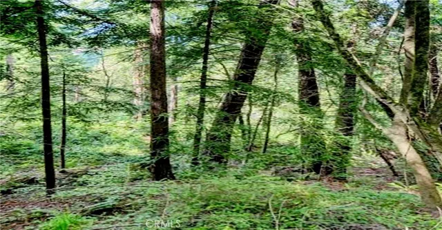 a green field with lots of trees