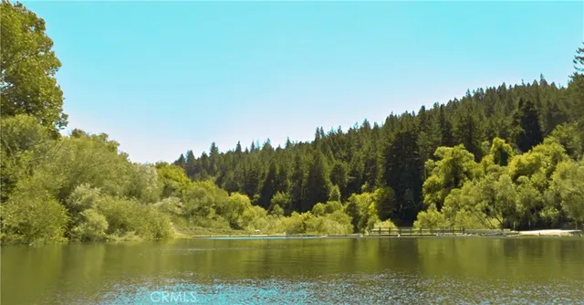 a view of river covered by trees