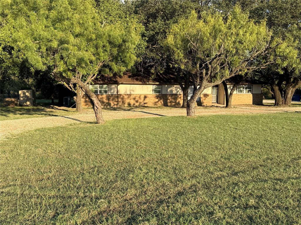 401 Highway 2247 Comanche, TX 76442 - Photo 2 of 19 a view of a yard with a tree