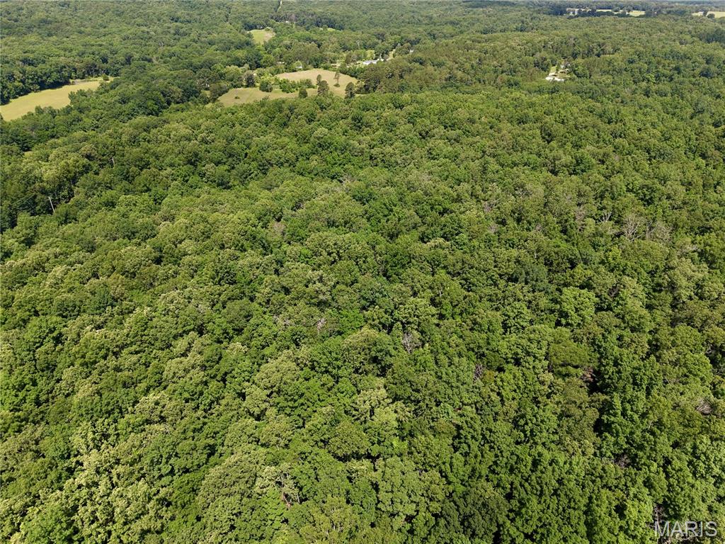 6483 Wayne Rte P Lowndes, MO 63951 - Photo 25 of 37